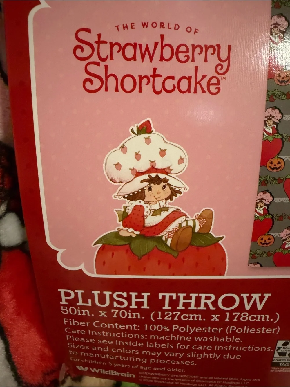 Strawberry Shortcake Halloween Pumpkin Plush Throw